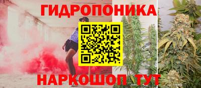мяу мяу мука Кулебаки