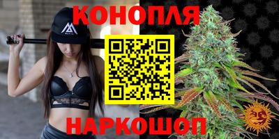 spice Краснодар