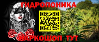 apvp Краснознаменск
