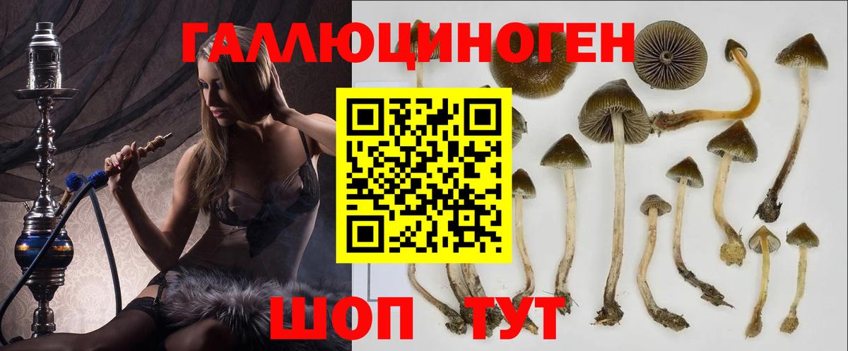 Кизилюрт  Галлюциногенные грибы ЛСД  Псилоцибиновые грибы Psilocybe  Вход с VPN 